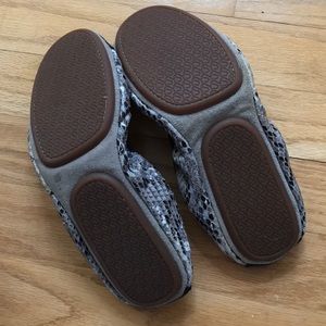 Yosi Samra Shoes - Yosi Samra Snake Print flat in smoke Yosi Samra Shoes - Yosi Samra Snake Print flat in smoke